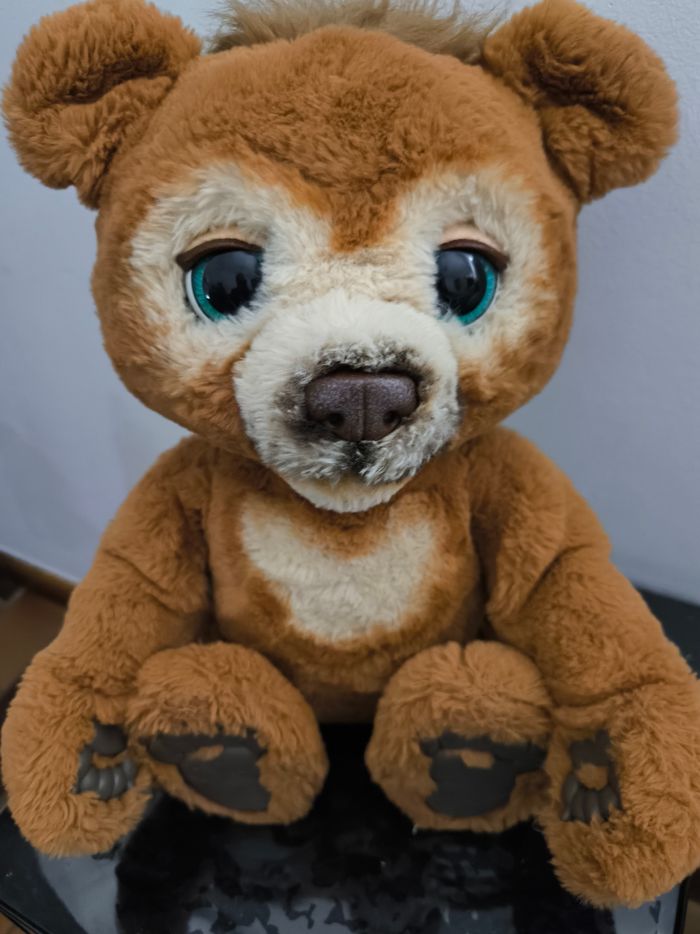 FurReal Cubby, The Curious Bear - Juguete interactivo de peluche, a partir de 4 años