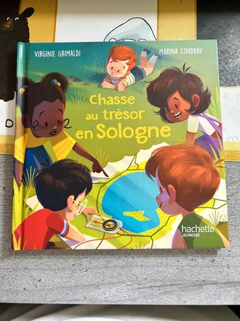 Livre chasse au trésor en sologne, histoire enfant Mc donalds, hachette