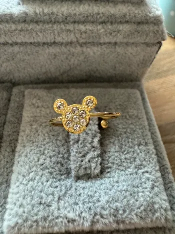 Bague acier chirurgical