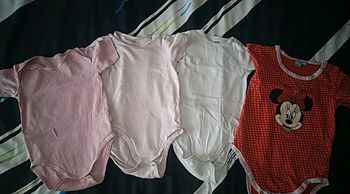 Lot 4 bodies manches courtes 24 mois