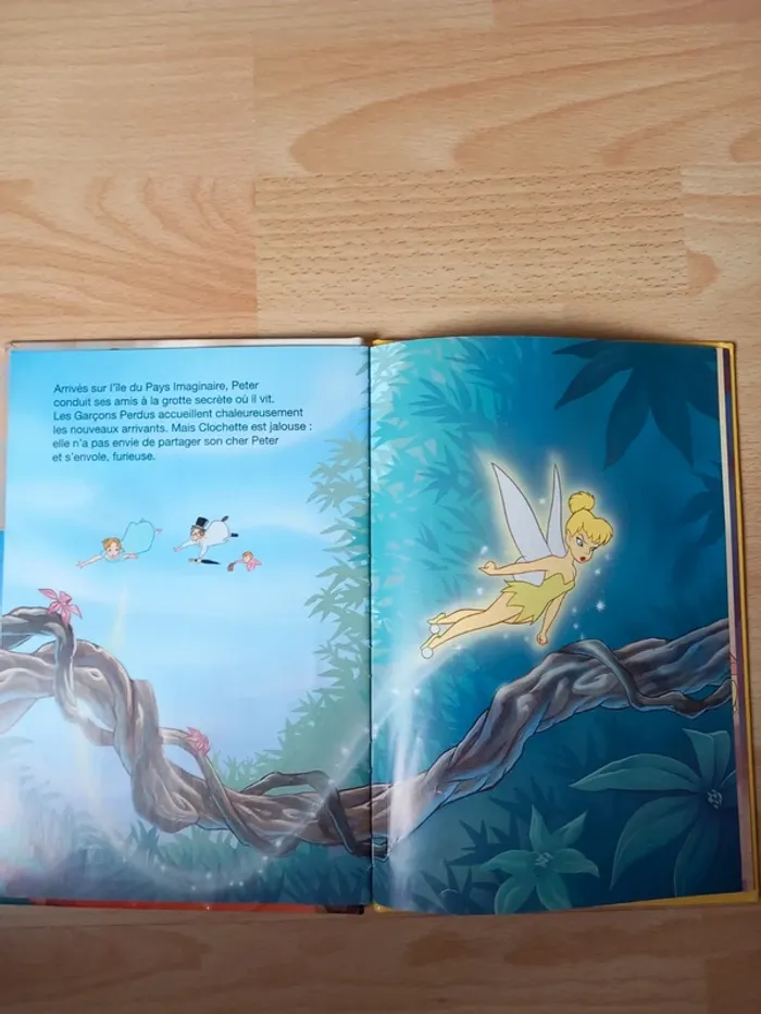 Livre Peter Pan Disney - photo numéro 4