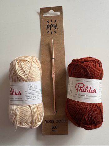 Lot crochet et 2 pelotes Phildar