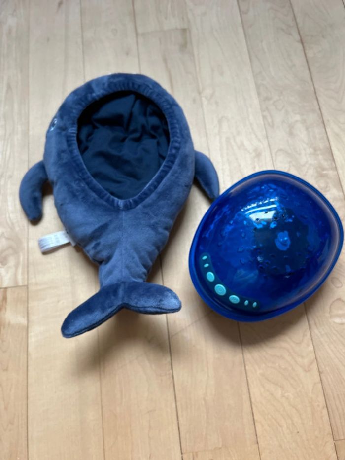 Baleine Pabobo - photo numéro 7