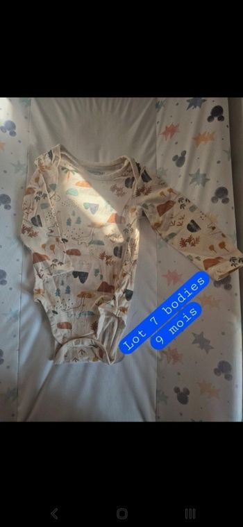 Lot 7 bodies 9 mois
