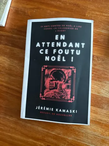 Livre en attendant ce foutu Noël !