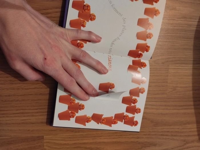 Livre photo anne geddes - photo numéro 4