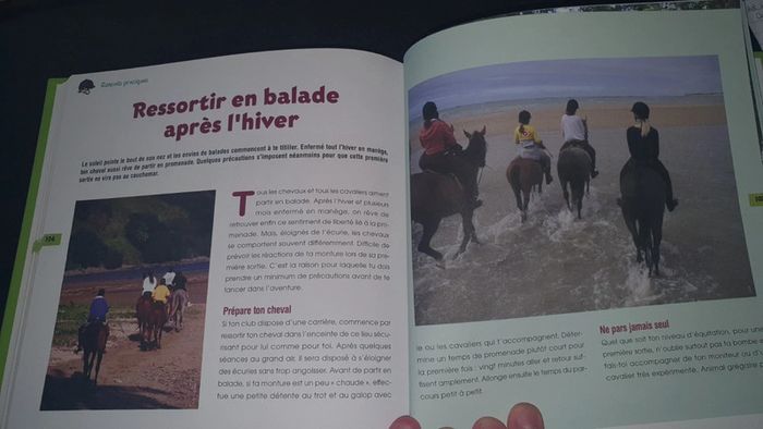 Tout savoir sur les chevaux - photo numéro 4