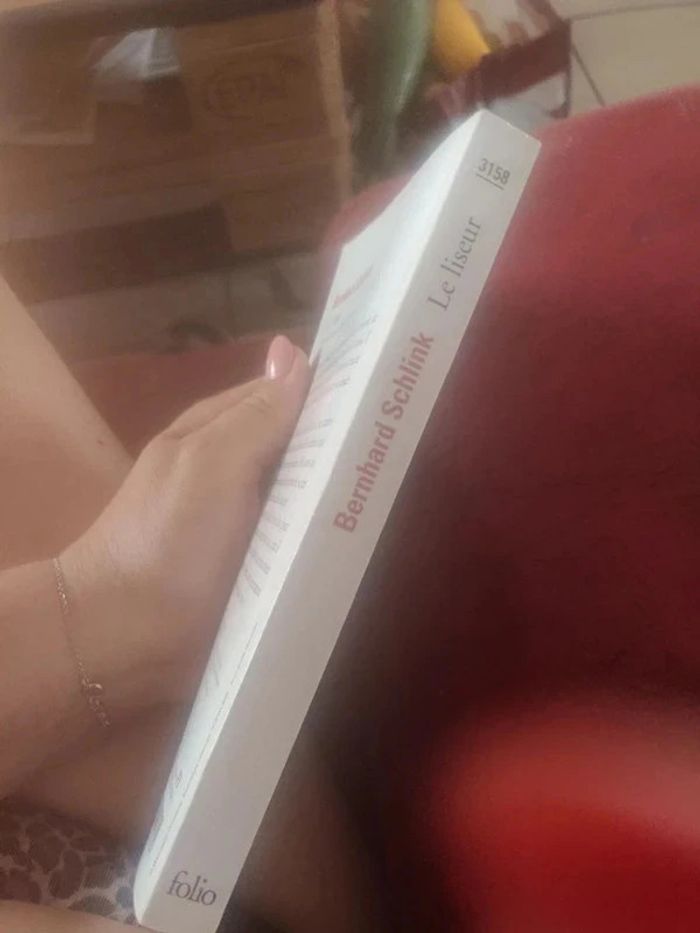 Le liseur The Reader De Bernhard Schlink - photo numéro 5