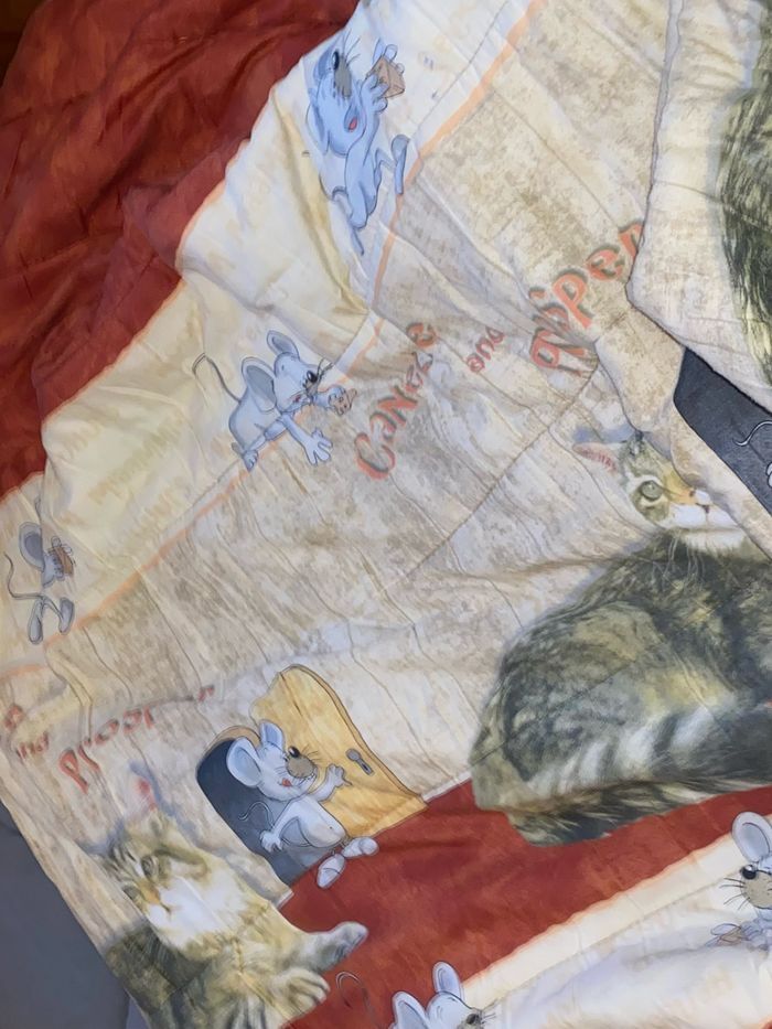 Couette/ Couverture 210X230 - photo numéro 2