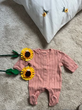 Pyjama rose