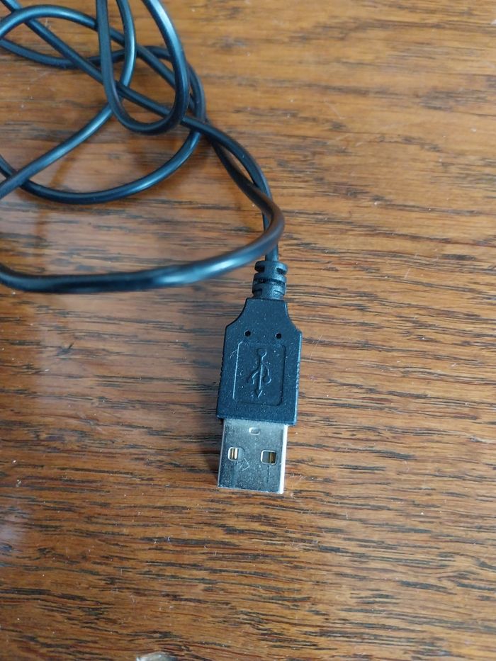 Souris filaire - photo numéro 4