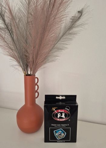 🎁 Jeu de magie : vision aux rayons X