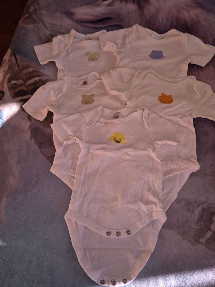 Lot de bodies pour l'été