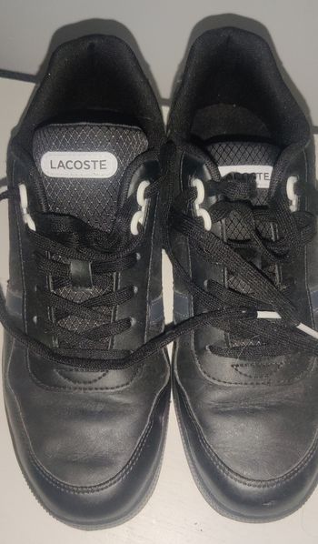 Basket lacoste taille 42