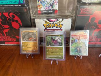Lot de cartes Pokémon