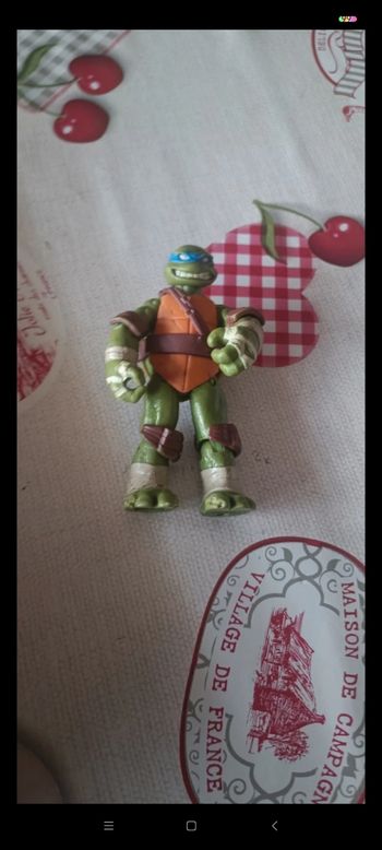 Tortue ninja