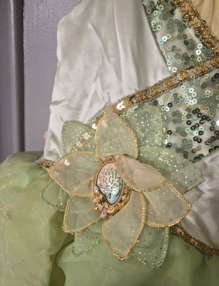 Magnifique déguisement Tiana 7/8 ans - photo numéro 5