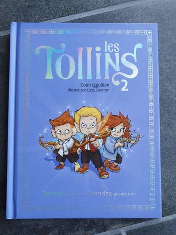 Livre les Tollins 2