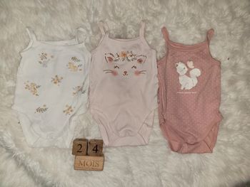 Lot bodies 24m