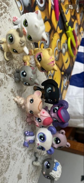 Littlest petshop 