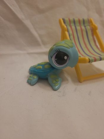 tortue de la mer petshop (rare)