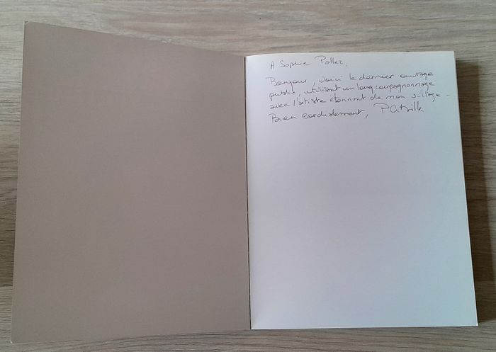 Alain Vuillemet le métal sublimé - photo numéro 5
