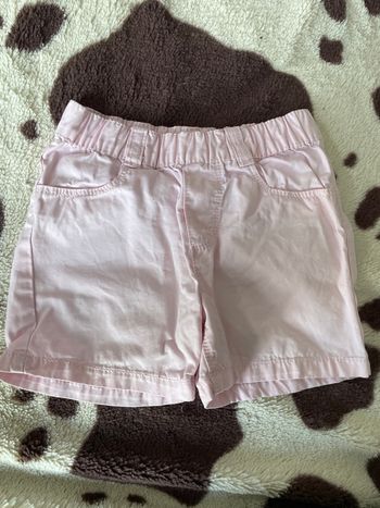 Short rose 18 mois