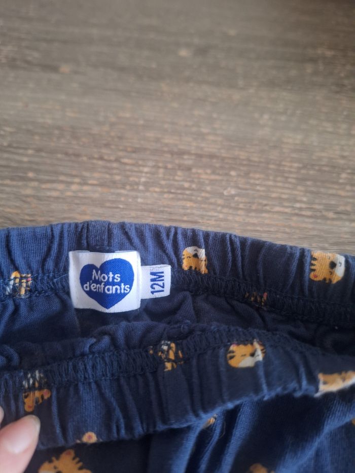 Lot shorts - photo numéro 2