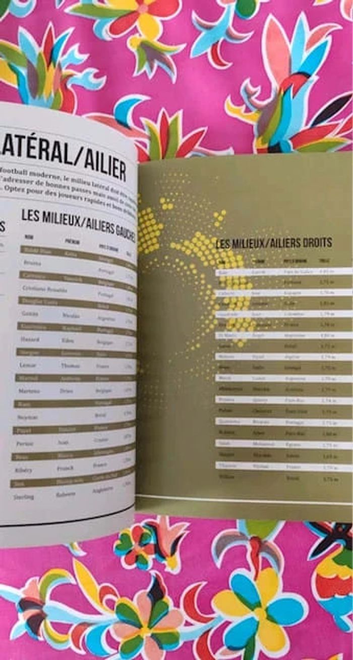 Play Station PS4 - Guide Fifa 18 - photo numéro 2