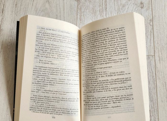 Livre Feu de Glace - photo numéro 3