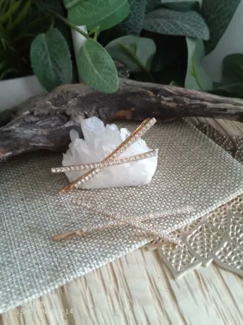 Lot de 2 barrettes cheveux