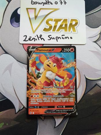 Carte pokémon Flamoutan V 022