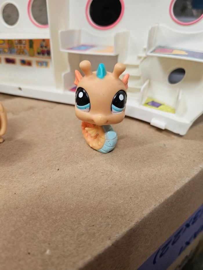 Petshop rare hippocampe 1958