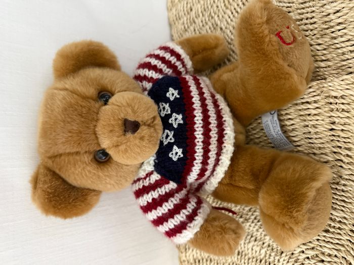Ours en peluche Americana Aurora USA, pull patriotique brodé - photo numéro 1