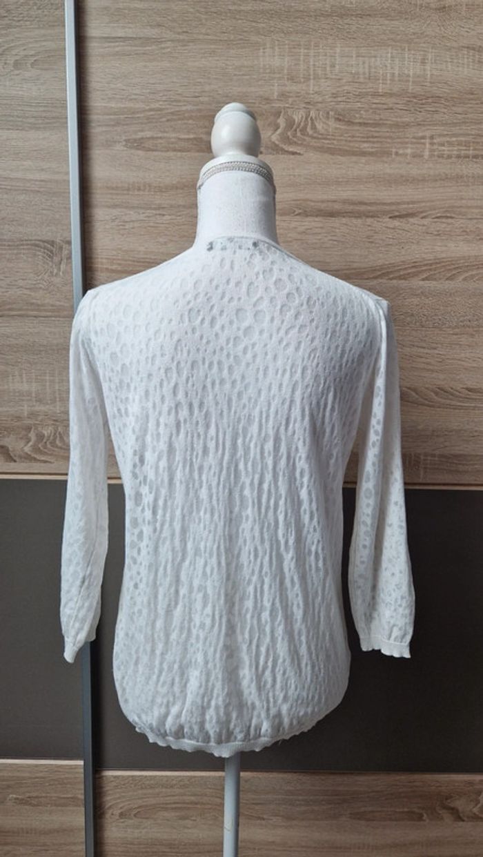 Pull transparent. - photo numéro 2