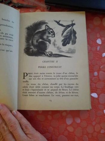 Livre ancien 1958 Disney vintage Perri l écureuil