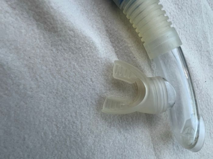 Tubas 48 cm - photo numéro 2