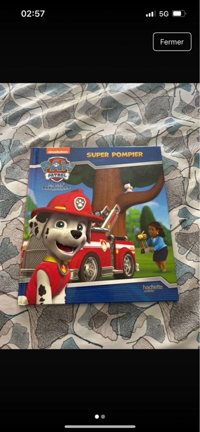 Livres  Pat Patrouille - photo numéro 3