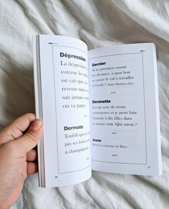 Le dictionnaire de Laurent Baffie - photo numéro 6