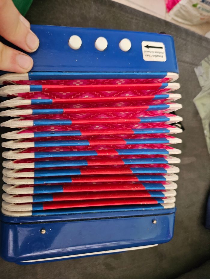 Accordéon - photo numéro 6