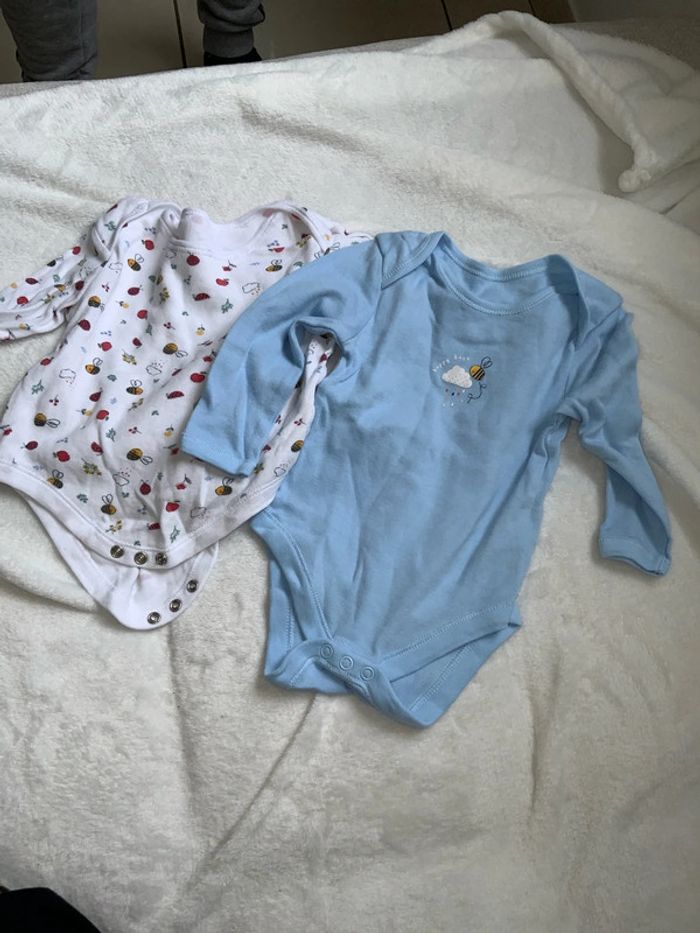 Lot 2 bodies