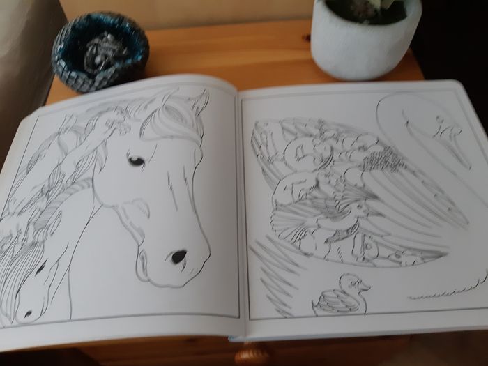 Livre de coloriage Incroyable Bestiaire Harmonie Solar - photo numéro 2