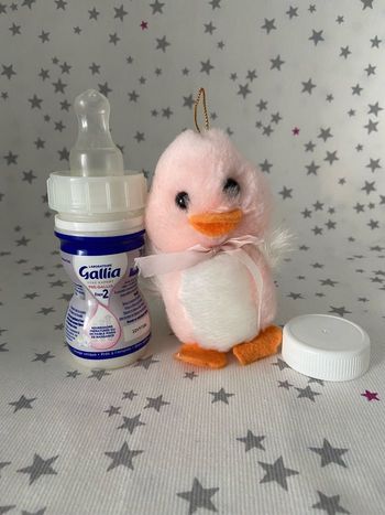 Biberon pour reborn bébé poupée pré Gallia