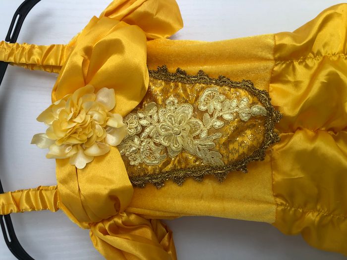 Robe fille, Princesse Belle - photo numéro 2