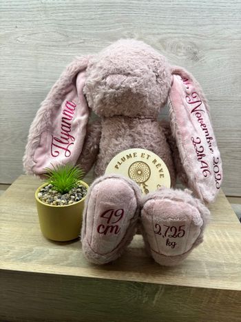 Lapin naissance personnalisée 