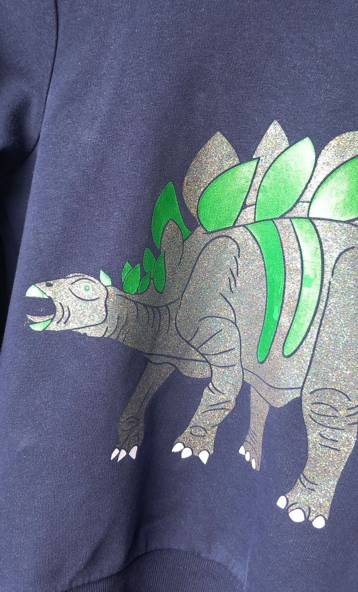 Sweat à capuche C&A 🦖 - photo numéro 5