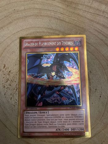 Carte Yu-Gi-Oh! : Dragon du flamboiement des ténèbres - PGLD-FR040