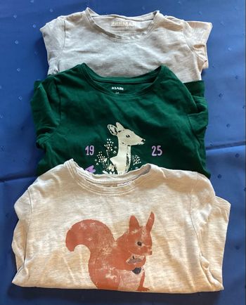 Lot de 3 teeshirts m.longues 5 ans