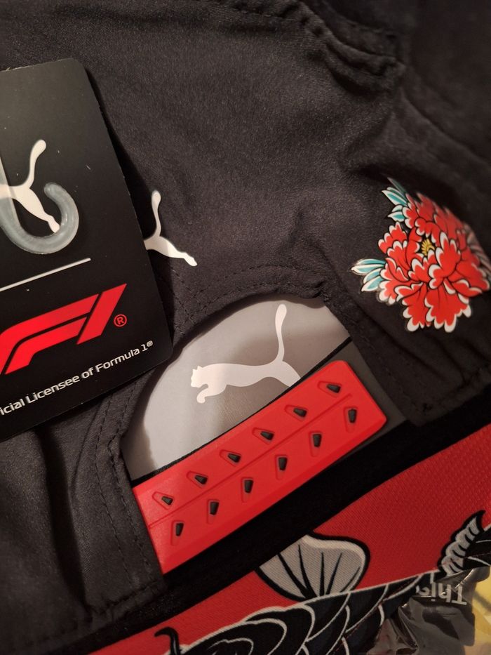 Puma GP Japon F1 - photo numéro 7