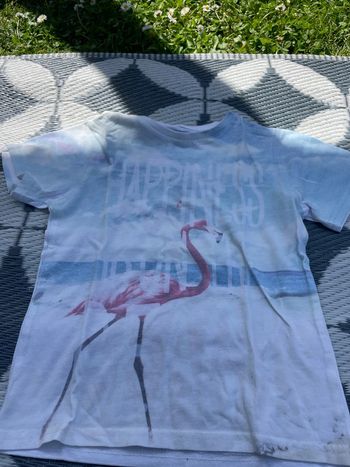 t-shirt manches courtes creeks